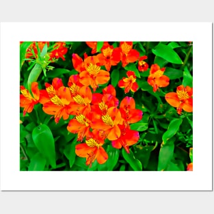 Vibrant Orange flowers summer pattern Posters and Art